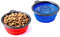 PRECORN Lot de 2 gamelles de voyage pliables pour chien et chat - 250 ml - Rouge et bleu