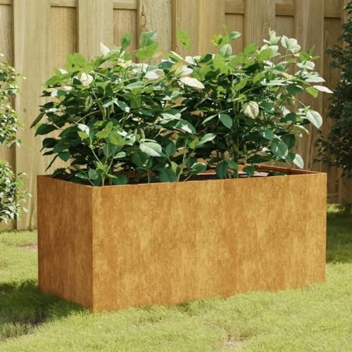 Gecheer Fioriera 80x40x40 cm in Acciaio Corten -X423