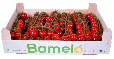Cherry-Tomaten - frische rispentomate Kiste (3000g)