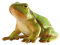 Bullyland 68401 - Spielfigur Laubfrosch, ca. 5,7 cm große Tierfigur, detailgetreu, PVC-frei, ideal als kleines Geschenk für Kinder ab 3 Jahren, Grün
