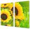 Asse da cucina in VETRO temperato – Tagliere in vetro – pezzo UNICO (60x52 cm) o DUE pezzi (30x52 cm ognuno); D06 Serie Fiori: Girasole 1