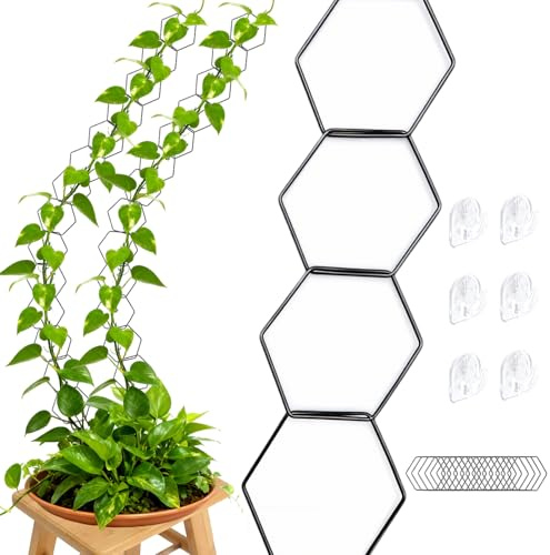 TMZELOA Rankhilfe Wand Innen Hexagon Kettenspalier – 18 Stück Metall Rankgitter mit 6 Haken für Kletterpflanzen DIY Pflanzenwand – Modernes Plant Trellis Indoor für Pothos Monstera Efeutute