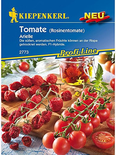 Tomaten Rosinentomate Arielle (Cherry-Tomate)