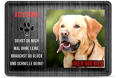 PR Print Royal Blechschild PERSONALISIERT mit EIGENEM Hundefoto und Spruch - Siehst Du mich mal ohne Leine - Geschenkidee für Hundebesitzer/Türschild/Hundeschild - Querformat DIN A6