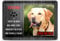 PR Print Royal Blechschild PERSONALISIERT mit EIGENEM Hundefoto und Spruch - Siehst Du mich mal ohne Leine - Geschenkidee für Hundebesitzer/Türschild/Hundeschild - Querformat DIN A6