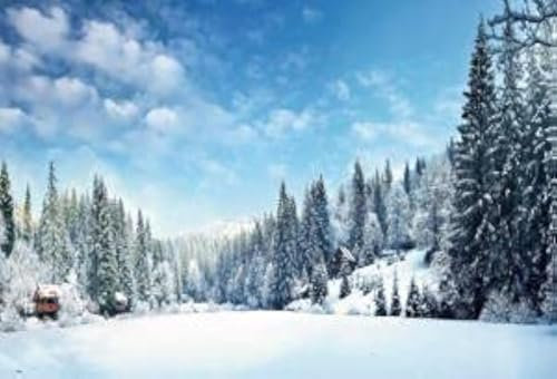 Renaiss 2.5x1.8m Winter Szene Hintergrund Schnee Wunderland Kiefer Wald Fotografie Hintergrund Hauptdekorationen Outdoor Kinder Erwachsene Porträt Weihnachtsfeier Banner Tapete Fotostudio Requisiten