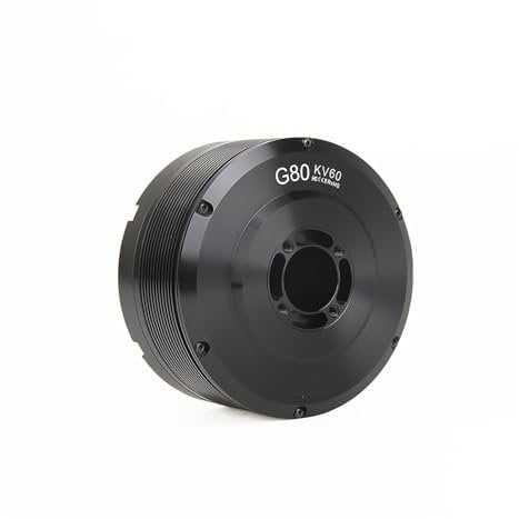 Inrunning Gimbal Motor G Series G80 KV30 KV60 for Gimbal Systems and Automatic Driving Systems (Color : KV30)