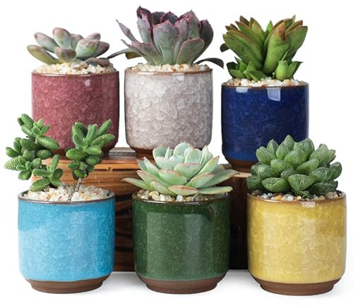 ROEOWENE 6pcs Pot de Fleur Succulente 6CM Pots de Plantes Intérieur Mini Flower Pots Céramique Cache Pot Petite Plante avec Plateau Bambou pour Grasse Petit Cactus pour Jardinière Décor et Bureau