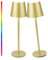 Faithorse Cordless Table Lamp 2 Pack, 5200mAh Battery Operated Table Lamps IP54 Waterproof Desk Lamp with RGB Color Changing Rechargeable Night Light Touch Control Bedside Lamp for Bedroom(Champagne)