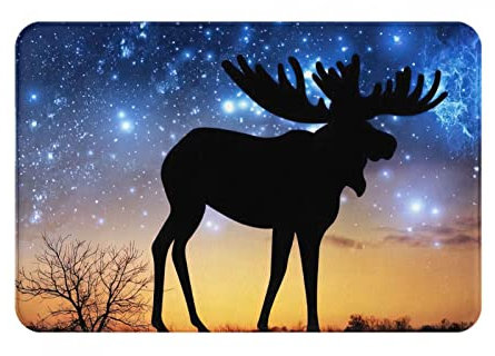 Badematte Sternenhimmel Und Elch Schmutzfangmatte Bedruckt Fußmatte Außen Modernen Bodem Fußabtreter, Für Garten, Wohnzimmer, Flur, 60x40cm