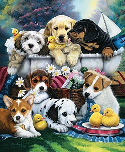 SunsOut 70448 - Badezeit für Welpen - Puzzle 1000 Teile