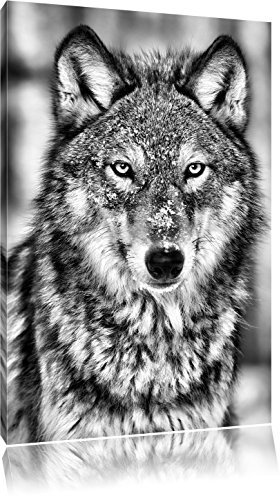 Pixxprint vigilant Loup Art toile 60x40cm murale XXL