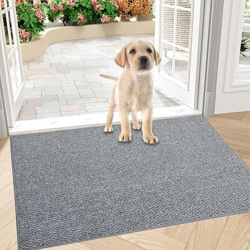 Schmutzfangmatte Innen 80 x 120 cm, Rutschfest Fußmatte Außen und Innen, Waschbar Sauberlaufmatte Türmatte, Wasserdicht Eingangsteppich, Absorbierend Fussmatte für Eingang, Haustür, Flur, Grau