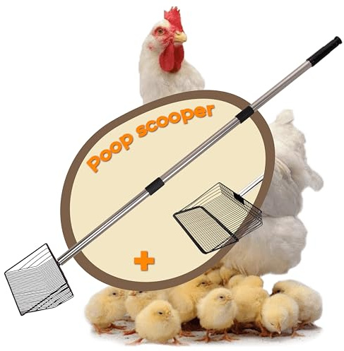 Hühnerkotschaufel mit 2 Schaufelköpfen, 25 cm Breite Siebschaufel aus Edelstahl, Teleskop-Kotschaufel 50–180 cm, Hühnerstall Zubehör für Pferde, Schweine & Kleintiere, Sandsieb Schaufel