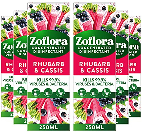 Zoflora Rhubarb & Cassis 6pc x 250ml, Concentrated 3-in-1 Multipurpose Disinfectant Kills 99.9% of Bacteria & Viruses