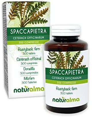 Spaccapietra o Cedracca (Ceterach officinarum o Asplenium ceterach) foglie Naturalma - 150 g - 300 compresse - Integratore alimentare - Naturale e Vegano