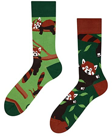 Dedoles Socken Unisex Damen Herren & Kinder Baumwolle viele lustige Designs 1 Paar Geschenk links rechts verschieden, Farbe Grün, Motiv Roter Panda, Gr. 39-42