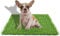 STARROAD-TIM 50 * 60CM Tappeto erboso Artificiale per Cani, per Interni ed Esterni, Erba Artificiale per Cani, vasino, terrazzo, Prato, Decorazione