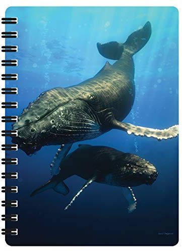3D LiveLife Jotter - Blauwal von Deluxebase. Linsenförmiges 3D Ocean A6 Spiralblock. Ein liniertes Notizbuch mit Kunstwerken, die vom bekannten Künstler David Penfound lizenziert wurden