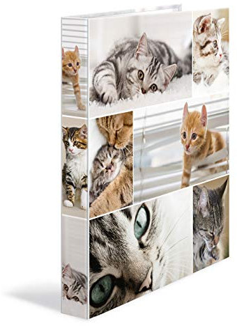 HERMA Ringbücher A4 Katzen Set, 3 Stück, schmal, 4 Ringe, 35 mm breit, Kinder Ringordner mit Tier Motiv, bunter Ordner mit Innendruck für Jungen und Mädchen
