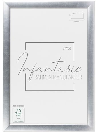 Infantasie 'N°3' Bilderrahmen 60x90 handgefertigt nach Maß | Silber | MDF-Holz Design Collage Holzbilderrahmen inkl. Acrylglas und Metall Aufhänger (Querformat & Hochformat)