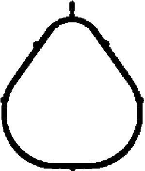 Corteco 450262P Dichtung, Ansaugkrümmer