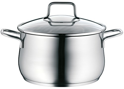 WMF Brilliant Kochtopf groß 20cm, Glasdeckel, Fleischtopf Induktion 3,7l, Cromargan Edelstahl satiniert matt, unbeschichtet