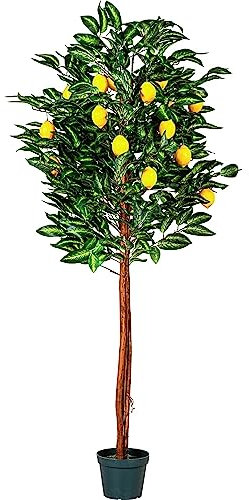 PLANTASIA Kunstpflanze Zitronenbaum 180 cm