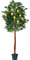 PLANTASIA Kunstpflanze Zitronenbaum 180 cm