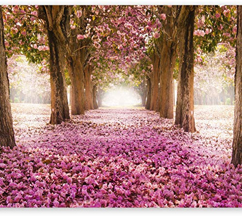 Wallpaper - Wall Mural Abstraction Nature 400x280 cm / 158x110 - Non-Woven Premium Art Print Fleece Wall Mural Decoration Poster Picture Design Modern - Botanical Way Trees Pink c-A-0031-a-b