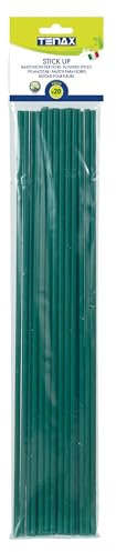 Tenax 06864 Tuteur Plastique Vert 60 cm Lot de 20