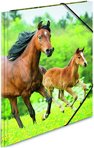 Herma 7140 Sammelmappe A4 PP - Pferde, 5 Stück