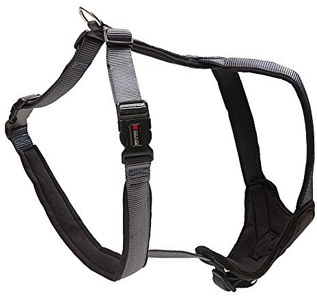 Wolters Cat&Dog Professional Comfort 62552 Geschirr Gr.7 90-110cm x 35mm graphit/schwarz