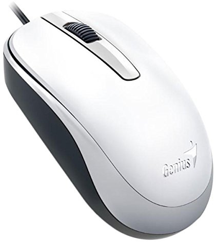 Genius 31010105102 DX-120 Dpi1000 Optische Maus weiß/schwarz