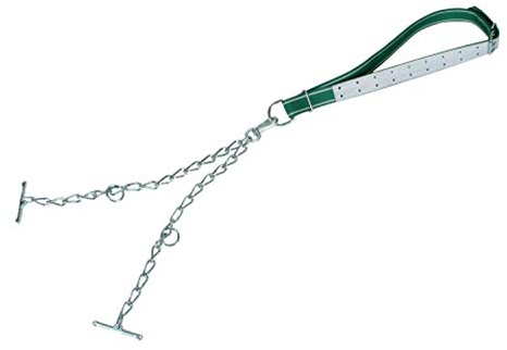 Jungbullenanb. kompl., Kette 6mm, dopp., mit Karabiner