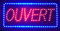 ADE LIGHT Enseigne lumineuse à LED Ouvert rouge/bleu 48x24x2.5cm