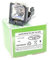 Alda PQ-Premium, Beamerlampe/Ersatzlampe für SANYO PLV-Z3 Projektoren, Lampe mit Gehäuse