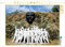 CALVENDO Puzzle Lenin-Gedenkstätte in Havanna 1000 Teile Puzzle quer | 1000 Teile Lege-Größe 64 x 48 cm Foto-Puzzle für glückliche Stunden