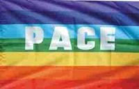 Flagge 90 x 150 : PACE mit Ösen