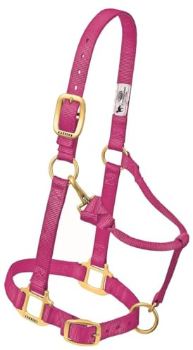 Weaver Leather Original verstellbares Pferdehalfter aus Nylon, Weanling/Pony, Himbeere