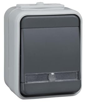 Elso ELG442119 Bel. 10A licht/basaltgrau Taster