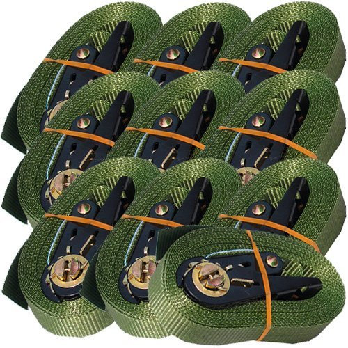 Timtina 10 Spanngurte Oliv 800 Kg 6m