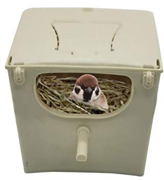Vogelnistkasten Wildvogelhaus Vogel Nistkasten Sittich Hauszucht Paarungsbox Für Wellensittich Nymphensittich