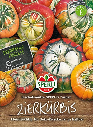 Zierkürbis, Bischofsmütze, Sperling´s Turb