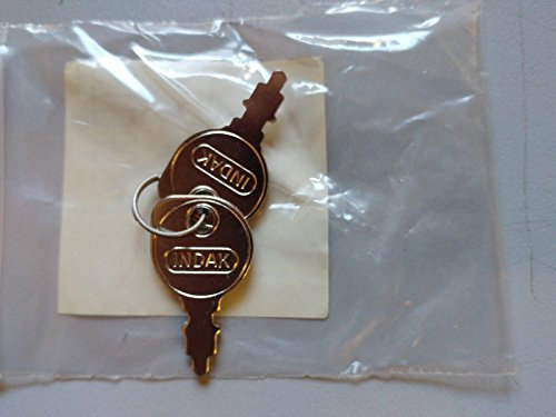 1 Paar originale Starterschlüssel für Aufsitzmäher/Rasenmäher von Indak