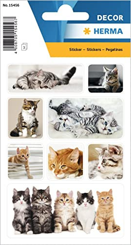 HERMA 15456 Tiere Sticker, Katzenkinder (24 Aufkleber, Papier, matt) selbstklebend, permanent haftende Motiv Etiketten für Mädchen und Jungen, bunt