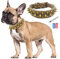 TVMALL Leder Hundehalsband Bissfest mit Pilze Nieten Verstellbar Trainingshalsband für Kleine, Mittelgroße Hunde, Haustiere Outdoor-Halsbänder - Kostenlose Lederlocher und Müllbeutel (Grau, L)