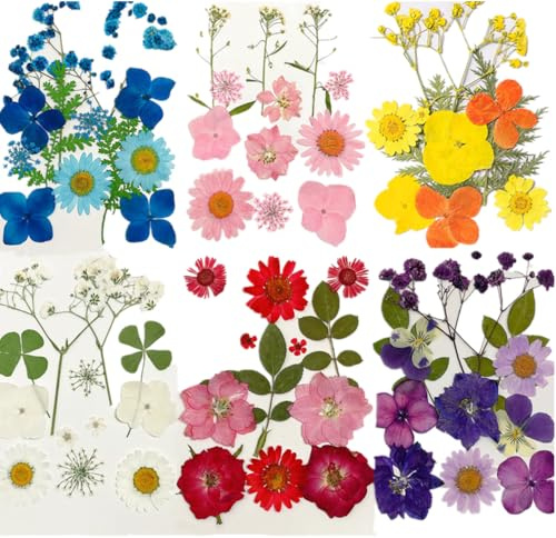72 stück Natürliche Getrocknete Blumen DIY Gepresste Blumen aus der Natur für Epoxidharz Formen Echte Trockenblumen Blätter Natürliche Kräuter mit transparentem für Scrapbooking Kerzen Seifen Machen K
