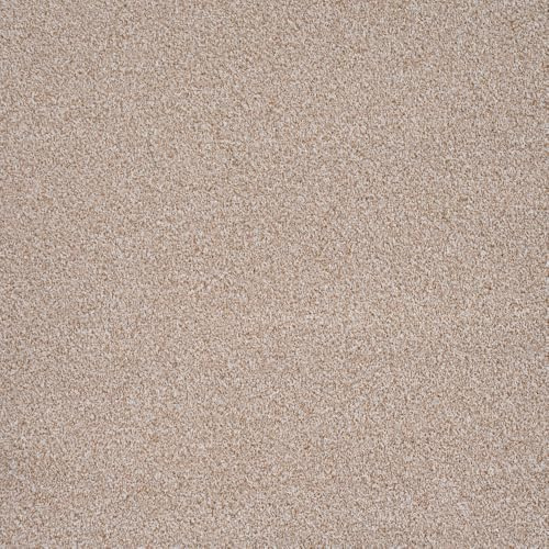 247Floors Flecked Twist Pile Carpet Roll, Hardwearing Felt Backing (5m x 4m, Oatmeal Beige)
