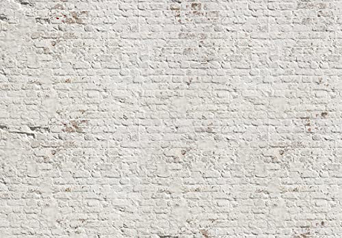 WallArena - Vlies Fototapete Steinwand Mauer Stein Ziegelstein Ziegel 368x254 cm - Fototapeten - Tapeten - für Wohnzimmer Schlafzimmer - Vliestapete Wandtapete Tapete 3D Effekt- inkl. Kleister